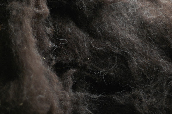 undyed carded wool