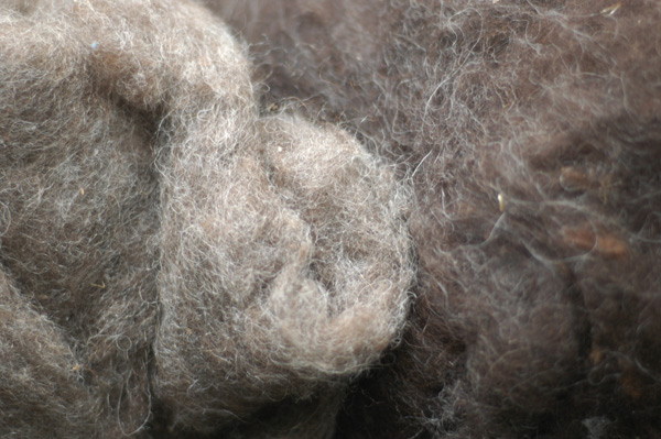 undyed wool